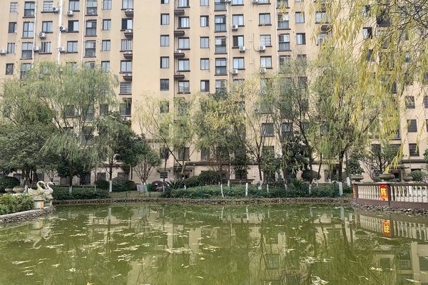 中豪明珠城最新價(jià)格，時(shí)代印記與城市的脈動(dòng)