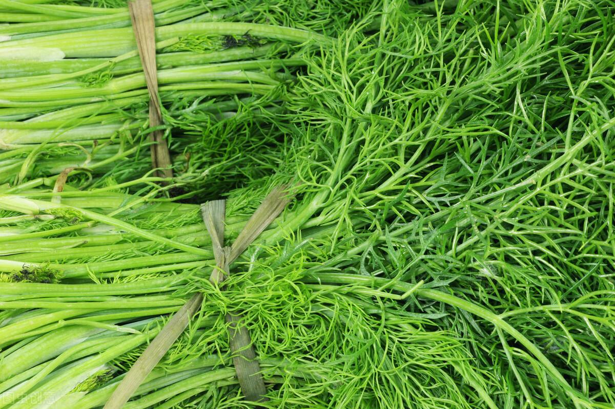 茴香價(jià)格動(dòng)態(tài)，香氣變化與你的關(guān)聯(lián)