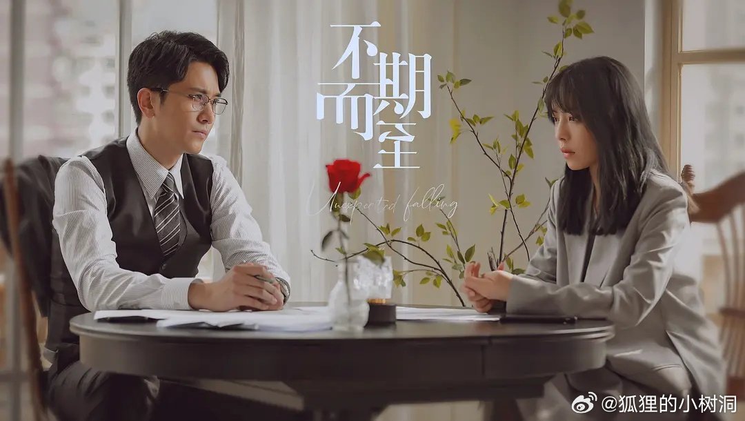 不期而至電視劇，從入門(mén)到進(jìn)階的觀(guān)看指南