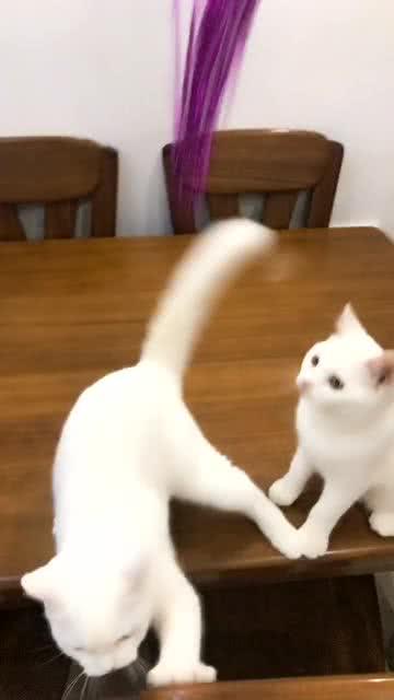 運動(dòng)場(chǎng)館燈具 第193頁(yè)