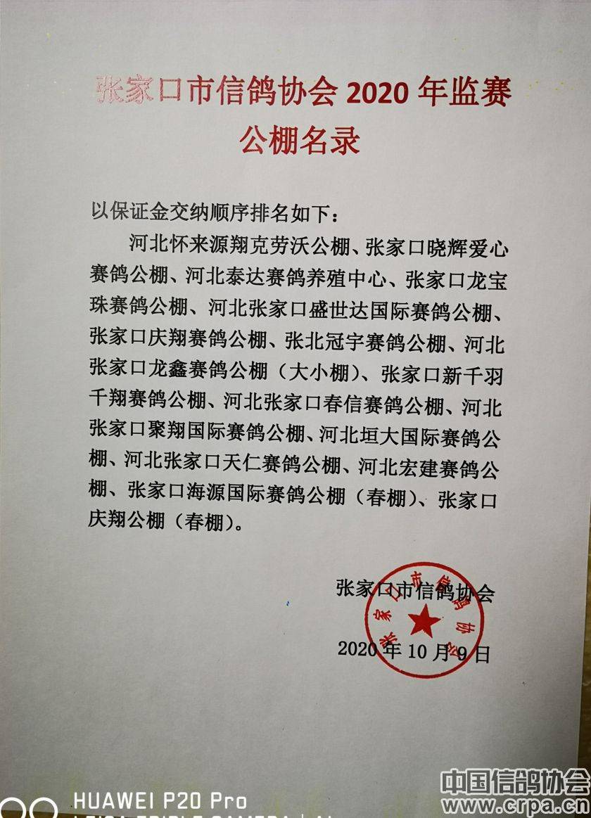東光信鴿協(xié)會(huì )最新通告，小巷深處的獨特風(fēng)味揭秘與信鴿活動(dòng)更新通知