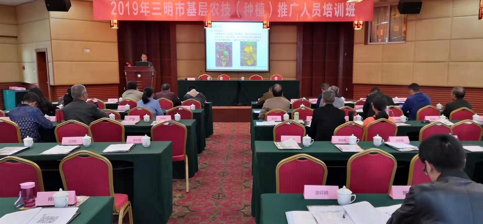 豇豆最新，廚房中的友情與家的溫馨