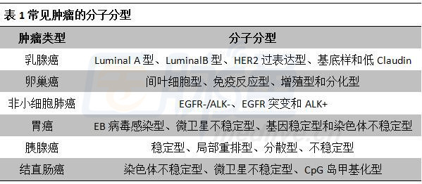 最新乳腺分類(lèi)科技產(chǎn)品介紹，引領(lǐng)乳腺健康新篇章