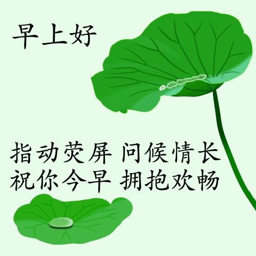 最新疫情動(dòng)態(tài)下的自然探索之旅，追尋內心的平和與寧靜