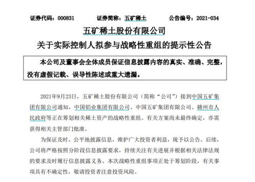 南方稀土股票，小巷中的隱秘寶藏，探索投資魅力的未知之旅