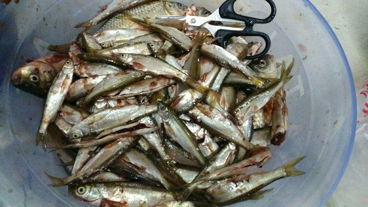 昆明最新野釣地點(diǎn)探索，重拾生活激情與自信的自然之旅