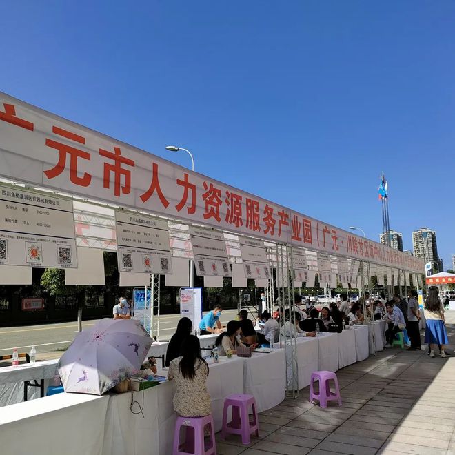 廣元最新招聘資訊詳解，觀(guān)點(diǎn)闡述與解析