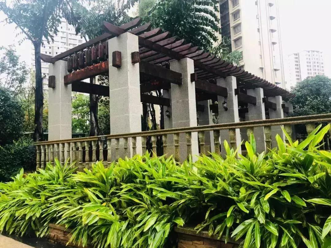 陽(yáng)光江山金岸最新動(dòng)態(tài)揭秘，全面指南與步驟詳解