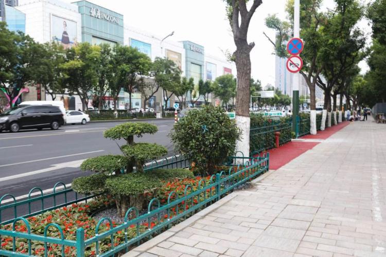 濰坊市奎文區改造工程，自然美景的探索之旅