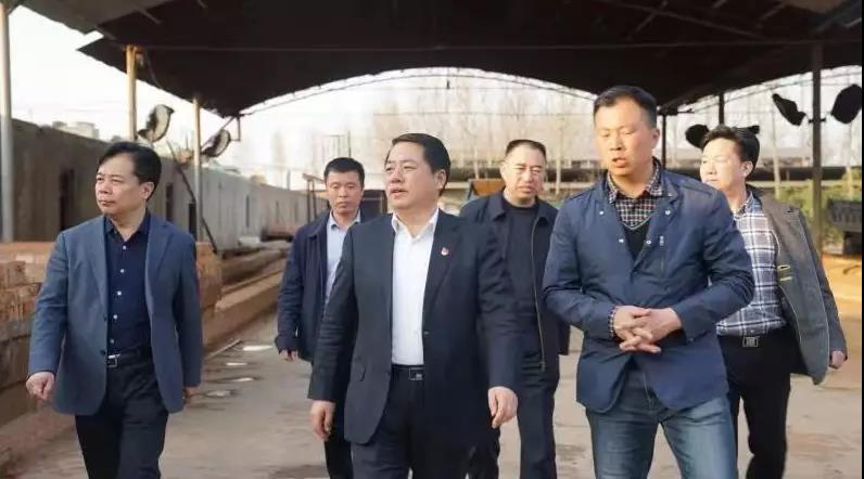 商丘王仲田最新動(dòng)態(tài)，探索自然美景的旅行，尋求內心平和之旅