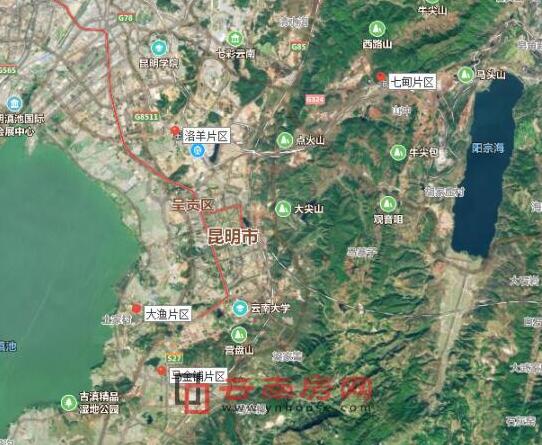 呈貢區發(fā)展動(dòng)態(tài)，巷弄深處的驚喜探索特色小店發(fā)展消息
