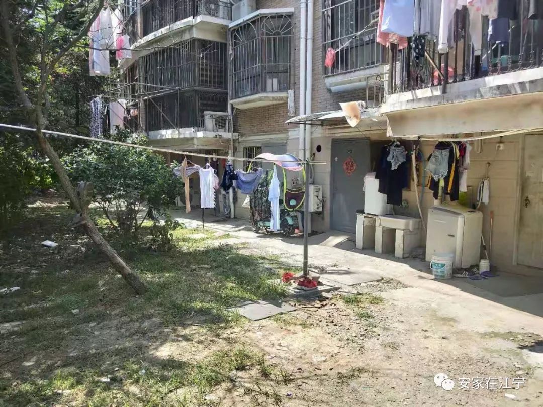 最新大雜亂時(shí)代，混沌與秩序的重建之路