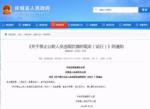 酒駕處罰2024最新標準詳解，步驟指南與更新概覽