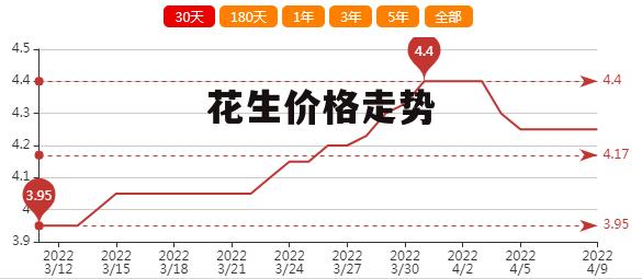 遼寧花生最新價(jià)格揭秘，一段溫馨的友情故事中的緣分相逢