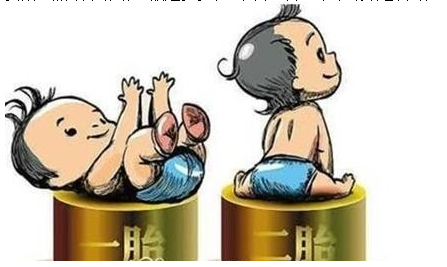最新雙胞胎補助政策，攜手同行，助力孕育夢(mèng)想之路
