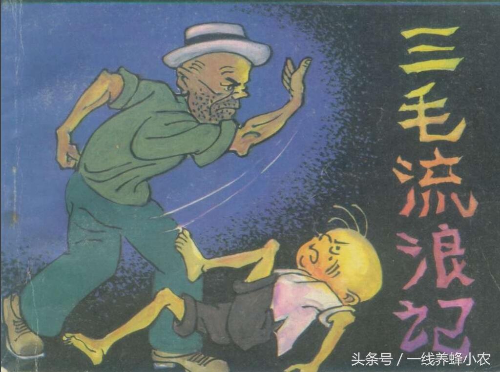 上海三毛最新動(dòng)態(tài)，自然美景探索之旅啟幕