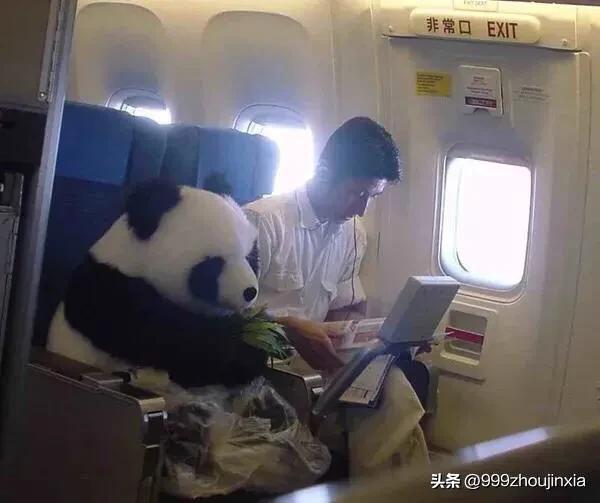 追逐變化之翼，學(xué)習鑄就自信與成就——虛幻最新探討