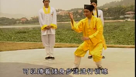 太極最新音樂(lè )，傳統與現代的完美融合藝術(shù)展現