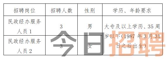 慶陽(yáng)最新招聘揭秘，小巷中的特色小店，探索未知寶藏的職場(chǎng)之旅
