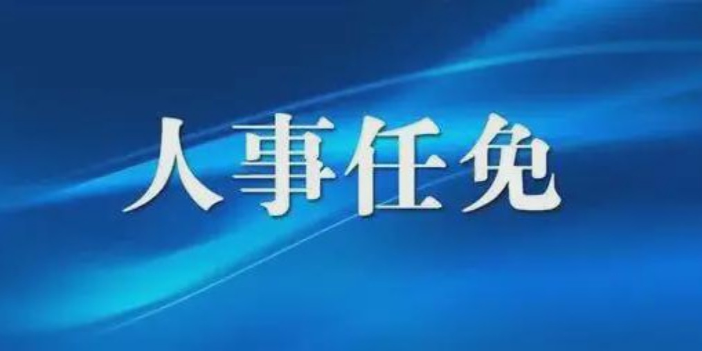 成都人事任免背后的故事，小巷獨特風(fēng)味小店與城市的脈動(dòng)