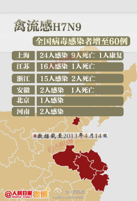 山東禽流感最新動(dòng)態(tài)，友情與陪伴的溫馨故事