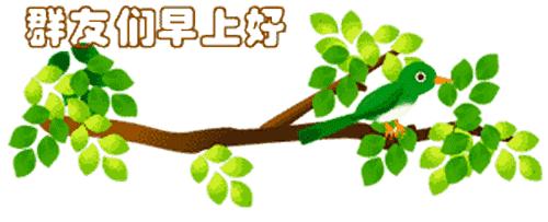 最新清晨祝福短信，晨曦中的溫暖問(wèn)候，傳遞美好祝愿與關(guān)懷