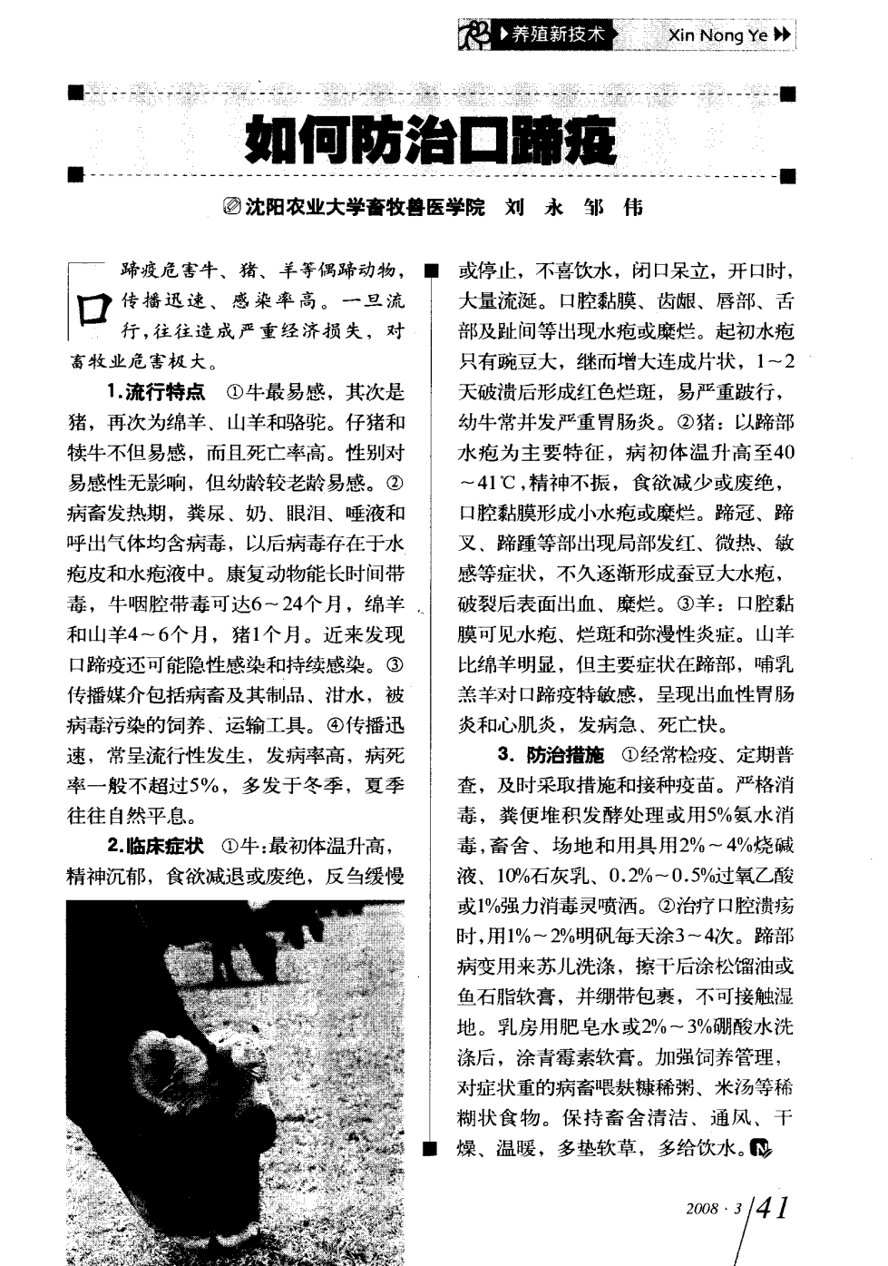 口蹄疫最新科研，自然探險與內心平和的追尋之旅