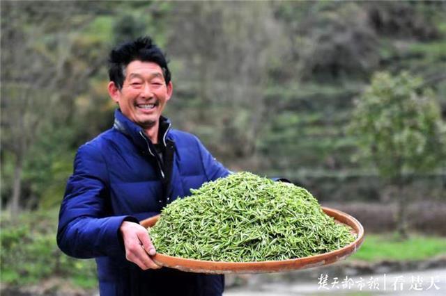 最新夷陵新聞，探索自然美景的旅程，尋覓內心平和之地