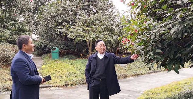 最新花木求購，開(kāi)啟一場(chǎng)尋綠之旅的溫馨旅程