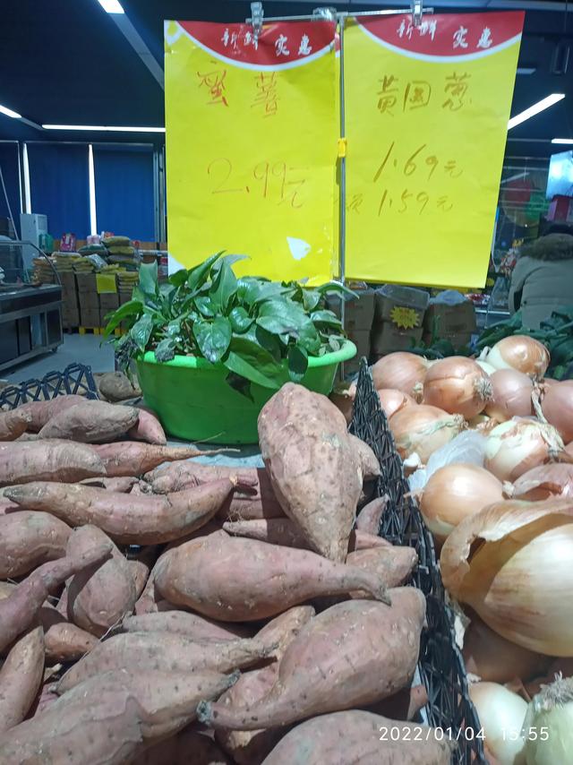 最新地瓜價(jià)格解析，查詢(xún)指南與任務(wù)攻略