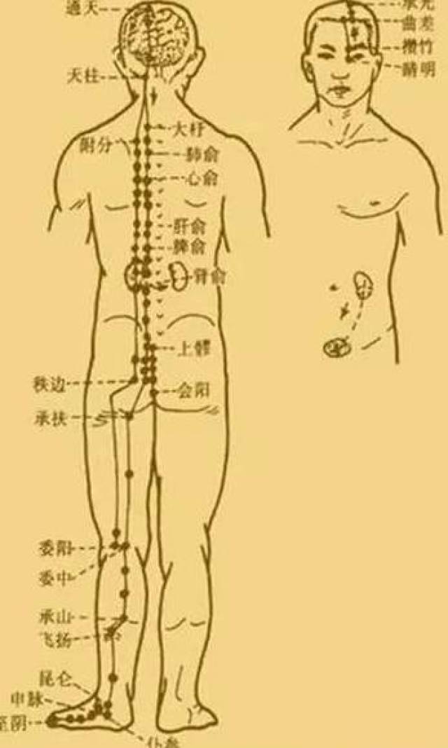 最新經(jīng)絡(luò )操，探索古老奧秘，重塑健康身姿
