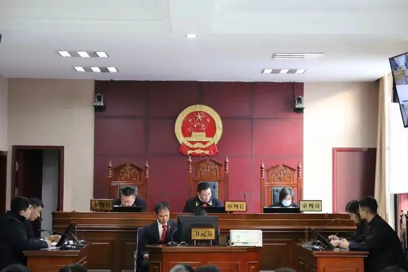 偏關(guān)最新案件深度解析，揭示真相，關(guān)注社會(huì )公正與公平