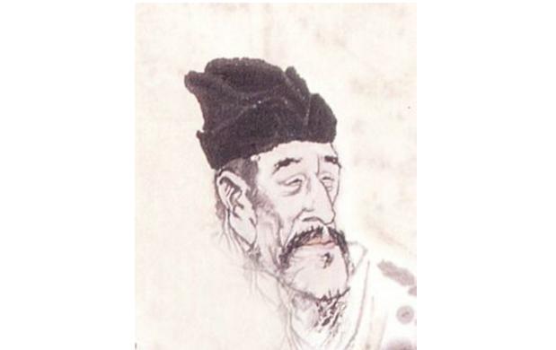 最新孤雁圖片，展現自然之美與深意的瞬間