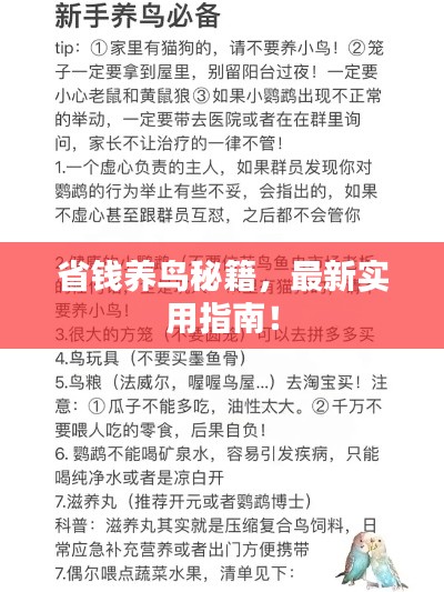 最新養鳥(niǎo)法規解析，觀(guān)點(diǎn)闡述與深度探討