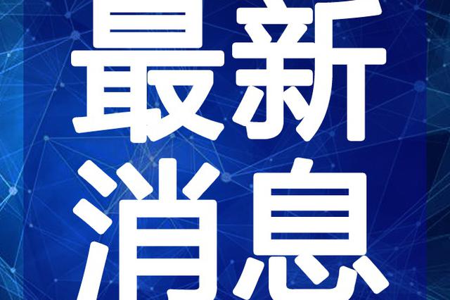 最新半仙視頻深度解析與觀(guān)點(diǎn)闡述，揭秘內容魅力與獨特之處