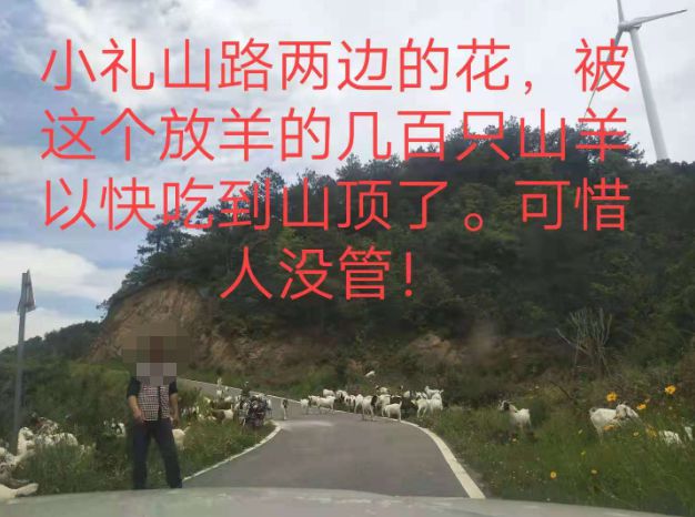 大悟最新路，探索未知，自信成就夢(mèng)想之旅的啟程