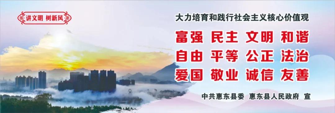 惠州肺炎最新動(dòng)態(tài)，小巷深處的獨特小店背后的故事