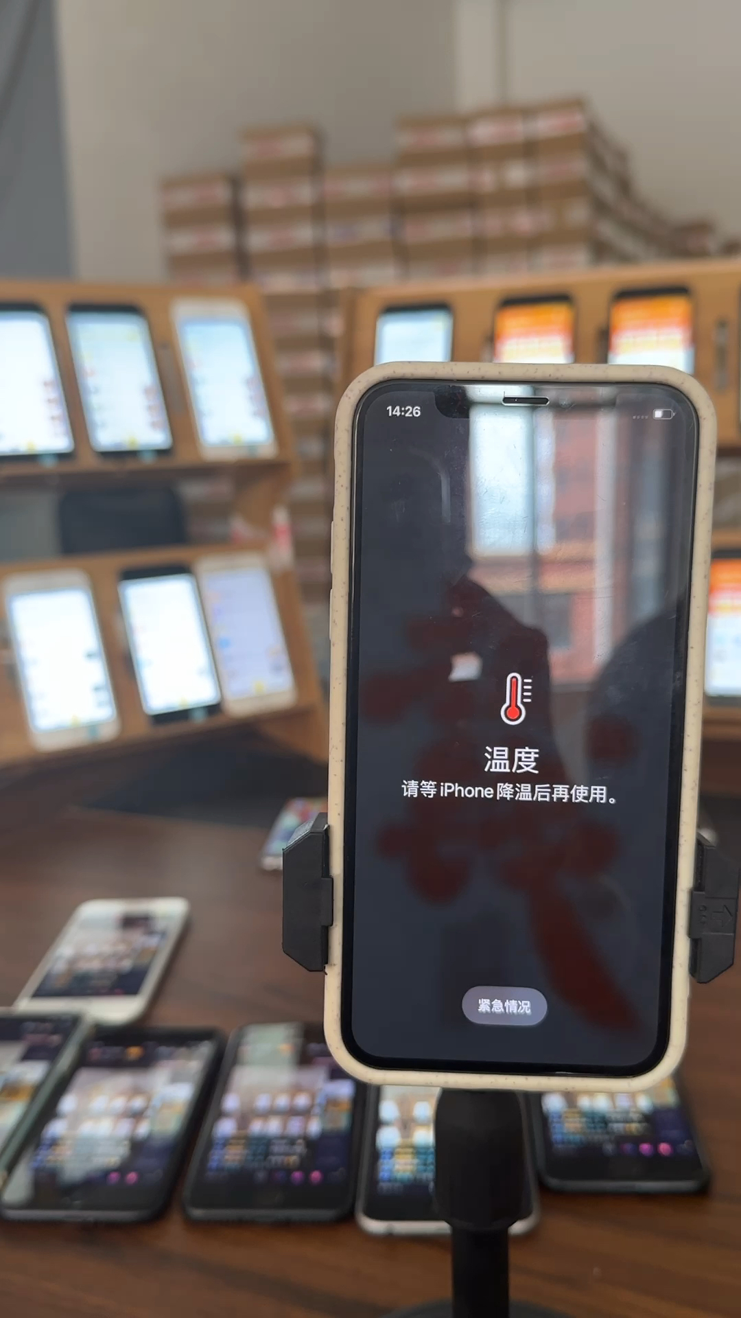 蘋(píng)果最新直播，科技與文化的完美融合盛宴