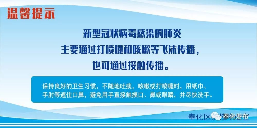 余姚最新確診背后的自然探索之旅，重拾心靈寧靜與平和