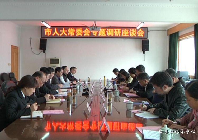 安徽歙縣最新動(dòng)態(tài)，小巷深處的驚喜
