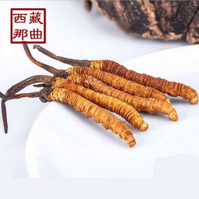 揭秘2025年蟲(chóng)草最新價(jià)格，探尋小巷中的秘密行情！